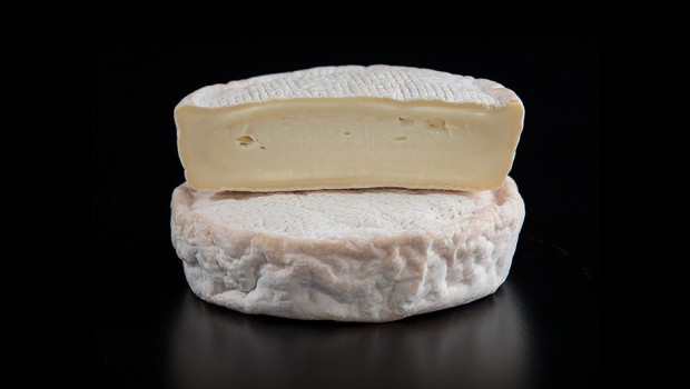 Galette de la Table Ronde (La) - Les Fromagiers de la Table Ronde