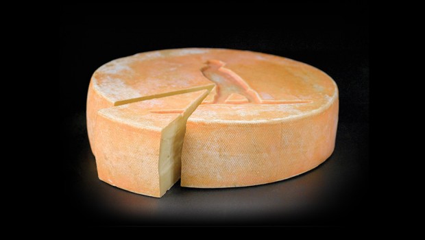 Raclette de Compton (nature) - Fromagerie La Station de Compton