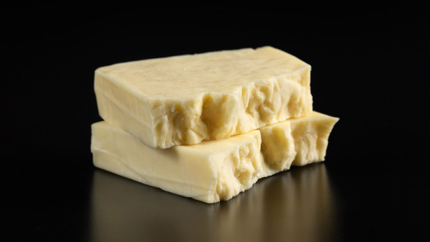 St-Nicolas (Le) - Ferme Phylum